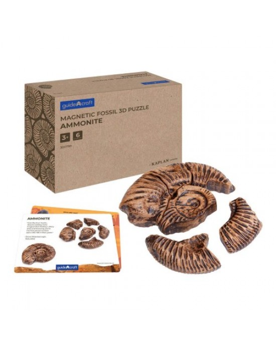 Magnetic Fossil 3D Puzzle - Ammonite