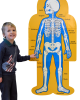 Child-Size Human Body Bulletin Board Set