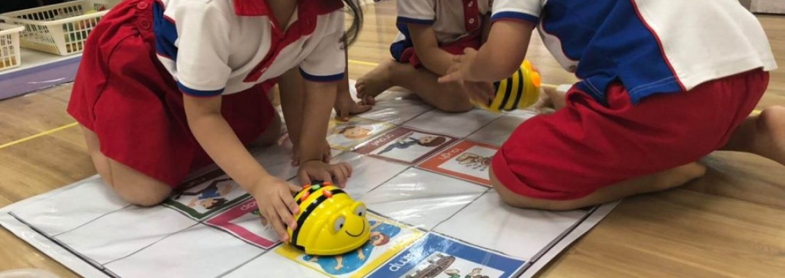 Is Bee-Bot for Preschool in Ireland?