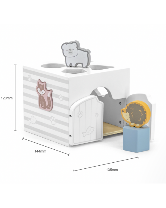 Shape Sorter with Music Blocks