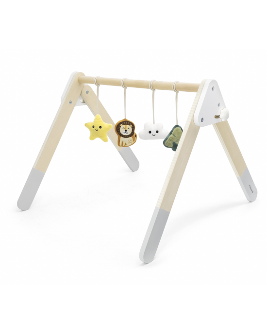 Baby Play Gym