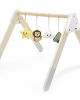 Baby Play Gym