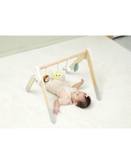 Baby Play Gym