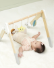 Baby Play Gym