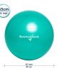 55cm Balance Ball No Roll Weighted Seat  green