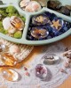 Specimen Stones: Sea Creatures