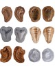 Magnetic Matching Fossil Stones - Set of 6