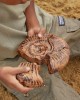 Magnetic Fossil 3D Puzzle - Ammonite