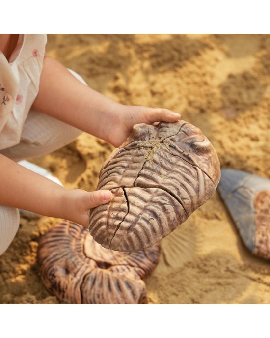 Magnetic Fossil 3D Puzzle - Trilobite