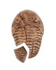 Magnetic Fossil 3D Puzzle - Trilobite