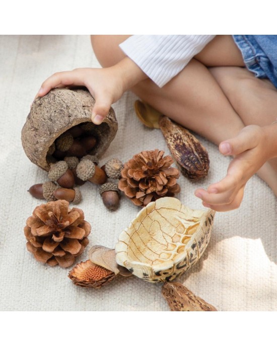 Nature's Geometry Loose Parts STEM Kit