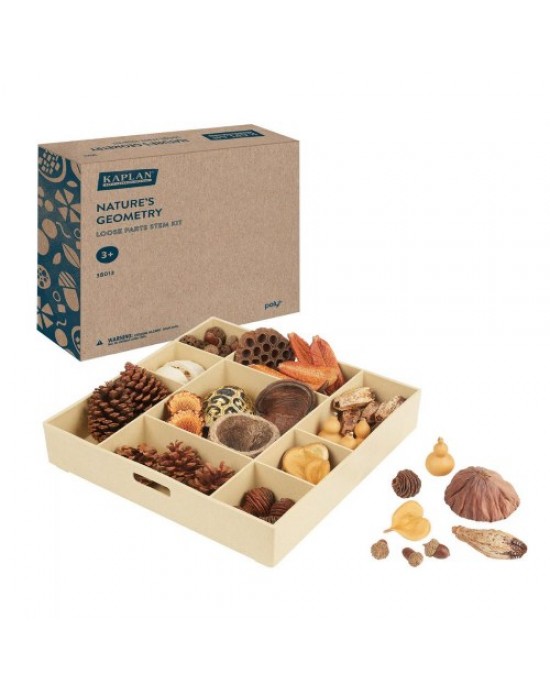 Nature's Geometry Loose Parts STEM Kit