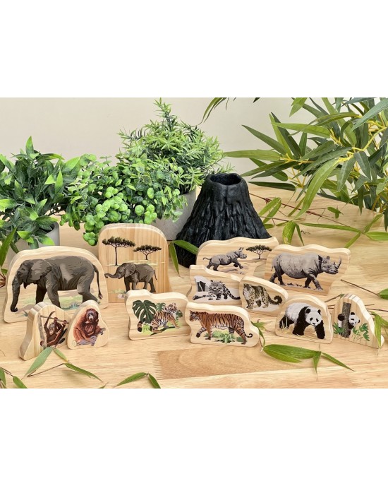 Endangered Animal Families Wooden Characters 