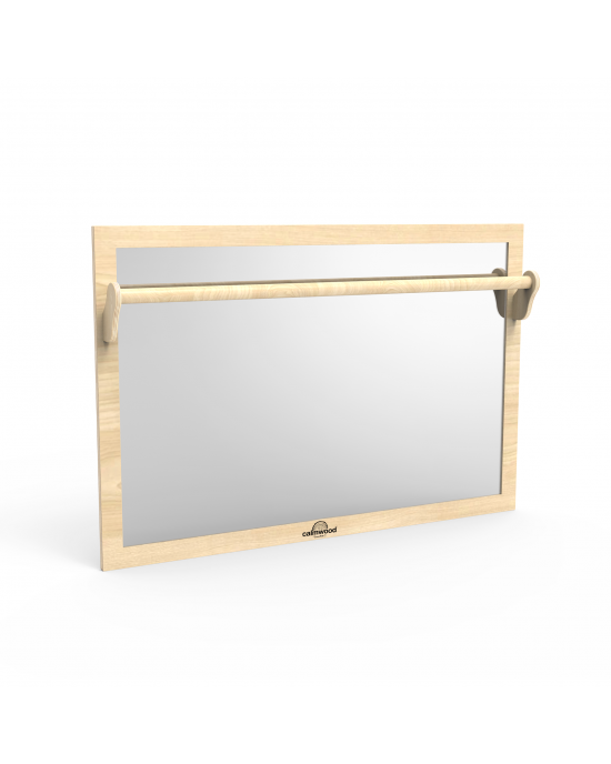 Mirror With Pull Up Bar