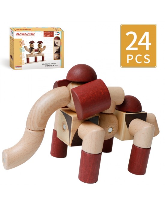 Magschool - 24 Pieces Wooden People Builder