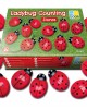 Ladybugs Counting Stones