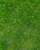 Grass Playmat 150x100cm