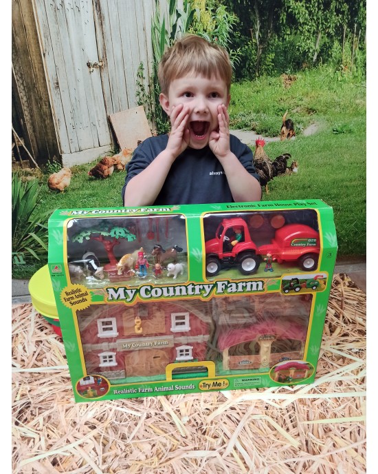 Country Farmhouse Playset