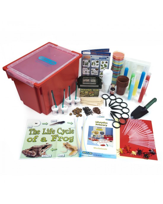 Plant and Animal Life Cycle Experiments Kit