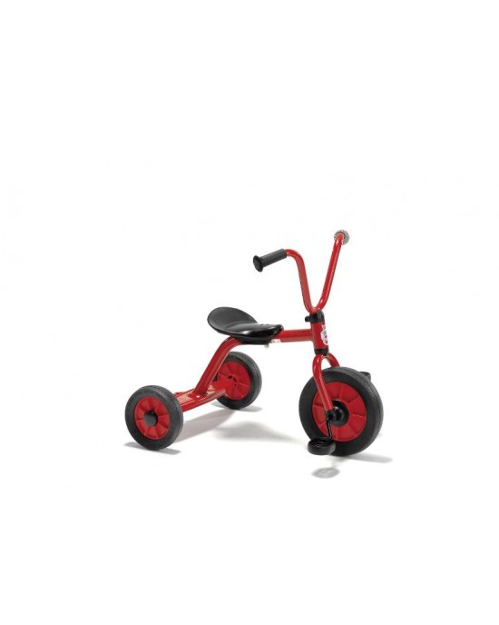 Tricycle Small (2-4 Years)