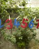 Feely Fabric Numbers